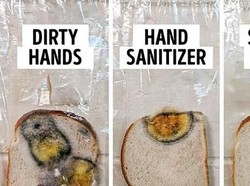 Percobaan Roti Berjamur Tunjukkan Kuman dan Virus Tak Bisa Mati dengan Hand Sanitizer