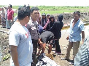 Duel di Sawah Sengketa, Petani di Bone Tewas Diparang 2 Pria