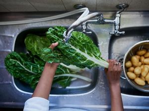 15 Tips Memasak agar Hasilnya Maksimal Tanpa Merusak Makanan 15 Tips Memasak agar Hasilnya Maksimal Tanpa Merusak Makanan