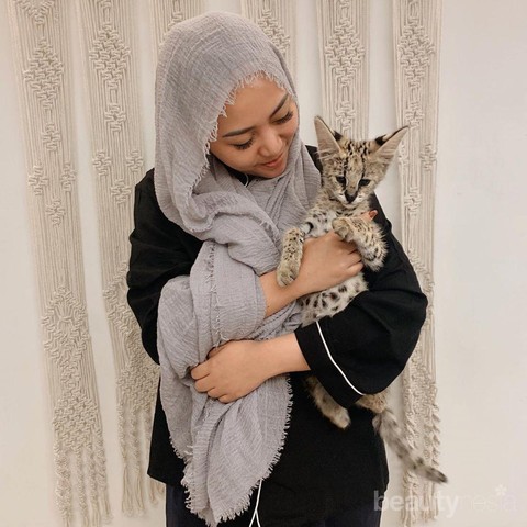 Mengenal Kucing Serval, Kucing Eksotis yang Dipelihara oleh Rachel Vennya