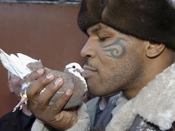 Mike Tyson dan Burung Merpati