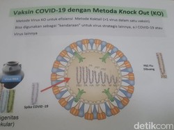 Tim Riset Siapkan Vaksin Virus Corona Berteknologi Knock Out