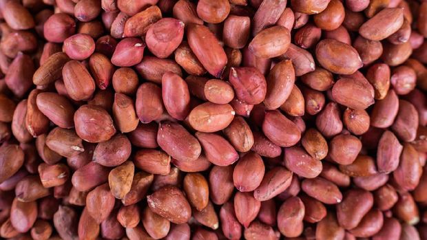 ilustrasi menggoreng kacang