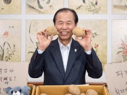 Diterpa Virus Corona, Petani Korsel Sukses Jual Kentang Online