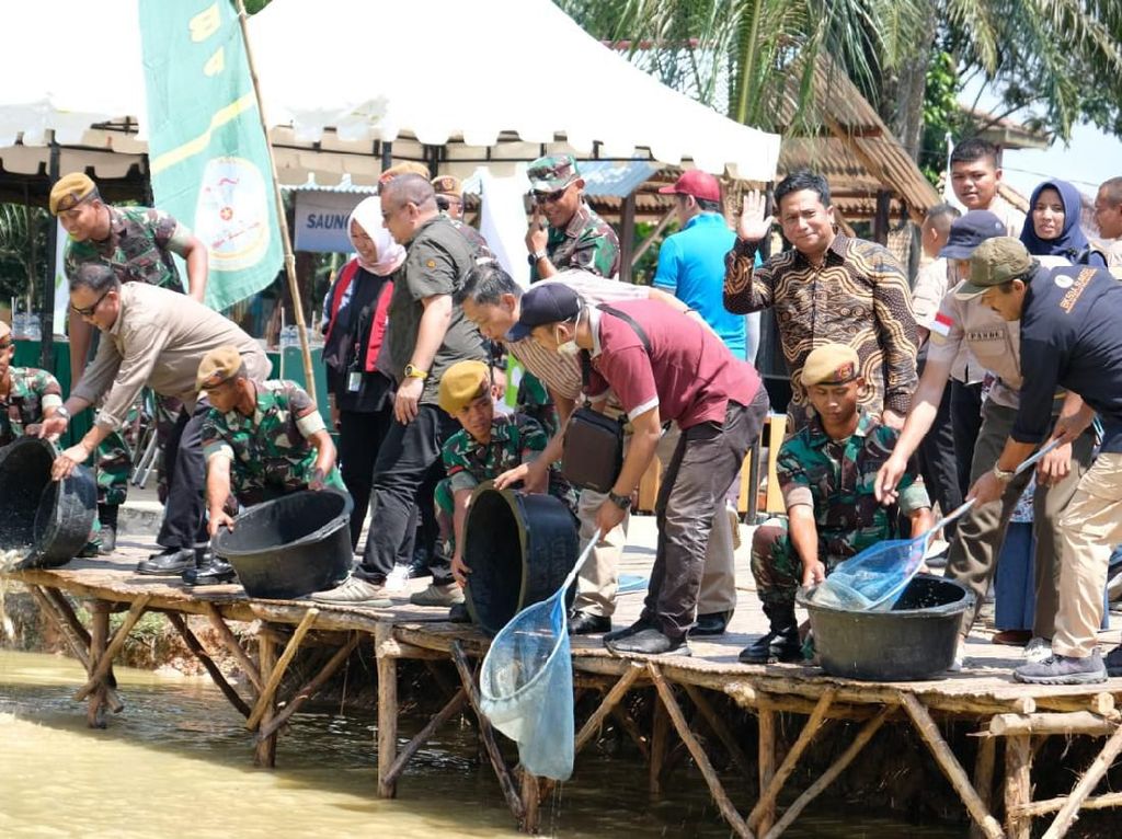 Pertamina Plaju Panen Ikan Lele Perdana di Batalyon Arhanud 12/SBP