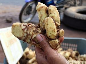 Berapa Harga Jahe Merah Sekarang?