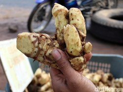 Berapa Harga Jahe Merah Sekarang?