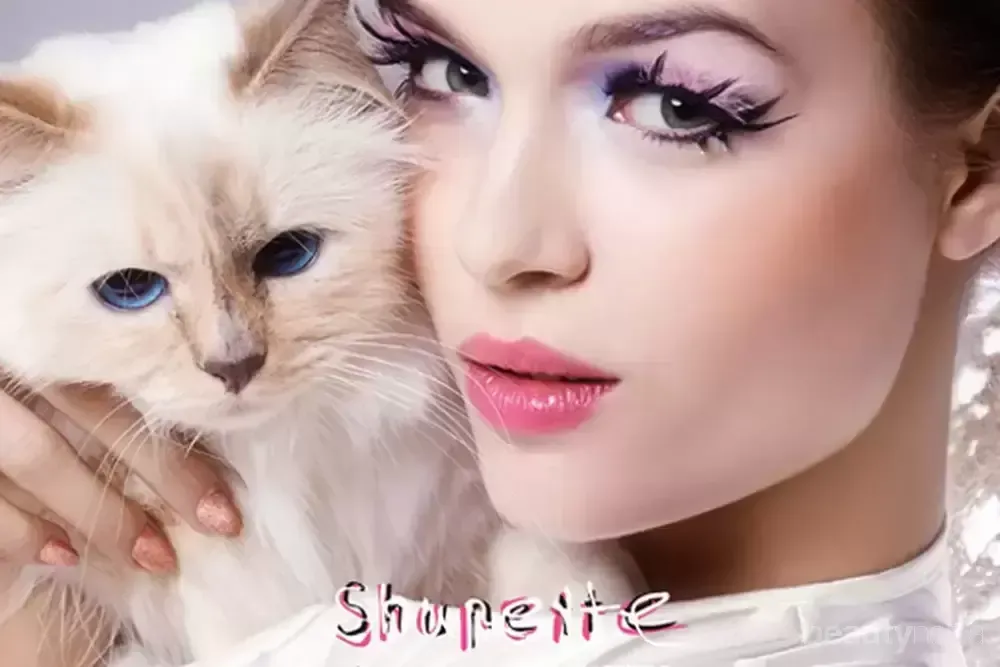 5 Fakta Unik Choupette, Kucing  Lucu Penerus Tahta Karl Lagerfeld