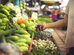 RI Banyak Impor Sayuran dari China