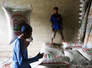 Harga Beras Medium Kok Masih Betah di Atas HET?