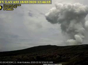 Kembali Meletus, Gunung Anak Krakatau Terakhir Erupsi 18 Maret 2020 Kembali Meletus, Gunung Anak Krakatau Terakhir Erupsi 18 Maret 2020
