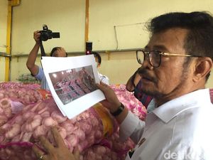 Jokowi Ingatkan Ancaman Krisis Pangan, Mentan: Persediaan Kita Surplus Jokowi Ingatkan Ancaman Krisis Pangan, Mentan: Persediaan Kita Surplus