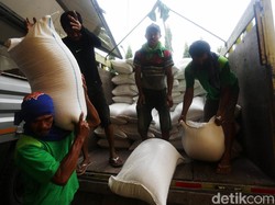 Jakarta Geger Corona, Stok Beras Aman Nggak?