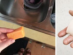 Bukan Sabun, Wanita Ini Tak Sadar Berhari-hari Cuci Tangan Pakai Keju