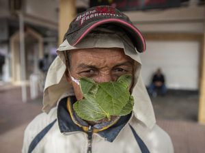 Pria Asal Maroko Ini Pakai Masker dari Daun Mint Lho