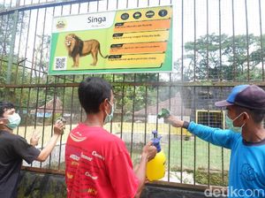 Pendemi Corona, Kebun Binatang di Banjarnegara Ditutup Pendemi Corona, Kebun Binatang di Banjarnegara Ditutup