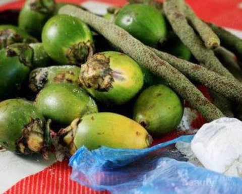 Yuk Cari Tahu Manfaat Buah  Pinang  untuk  Atasi Payudara  