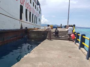 KKP Sebut Fenomena Ikan Terdampar di Maluku Bukan Akibat Bencana Alam