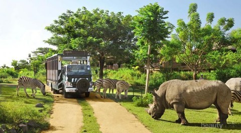 makanan untuk hewan di taman safari