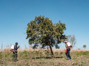 Belum Ada Warga Positif Corona, tapi Uganda Sudah Pasang Kuda-kuda