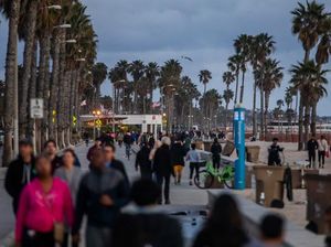 Pesawat Jatuh Menghantam Pantai California, 1 Orang Tewas Pesawat Jatuh Menghantam Pantai California, 1 Orang Tewas