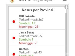 Pasien Positif Corona Banten versi Pusat 43 Orang-Provinsi 23, Ini Kata Dinkes