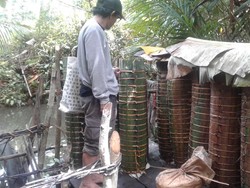 Masih Ada Sagu di Ugai