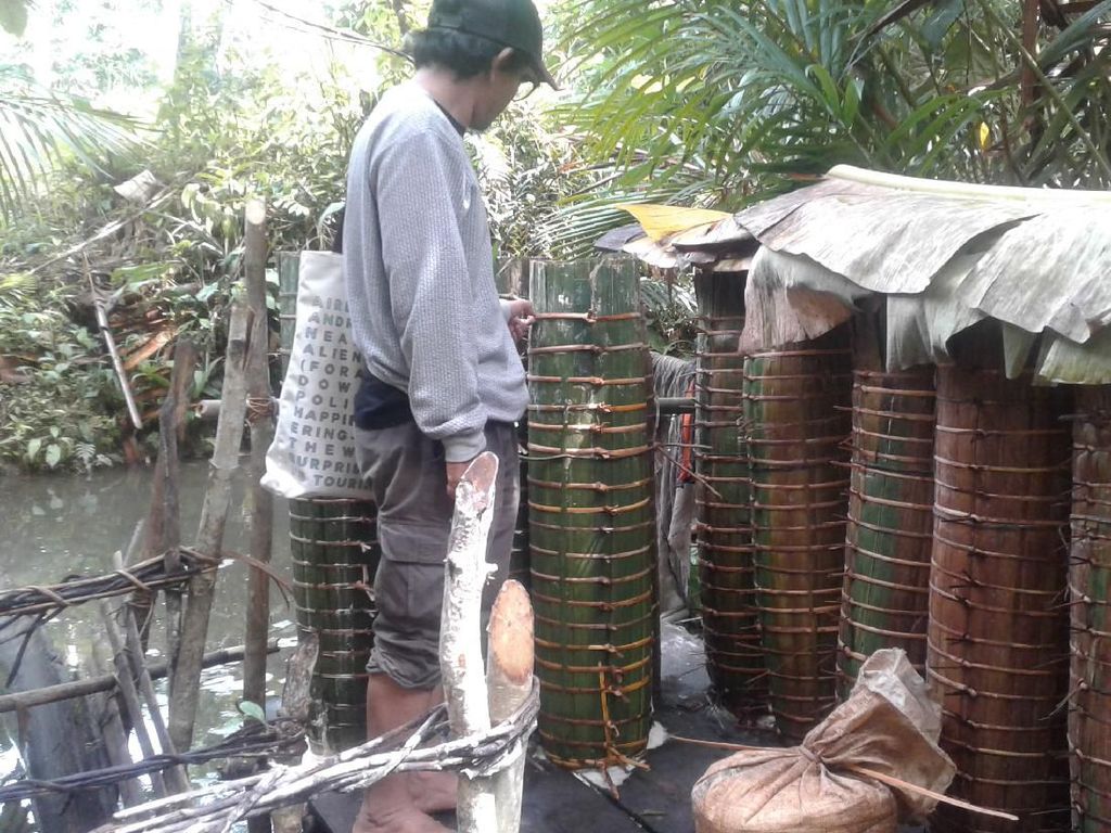 Masih Ada Sagu di Ugai Masih Ada Sagu di Ugai