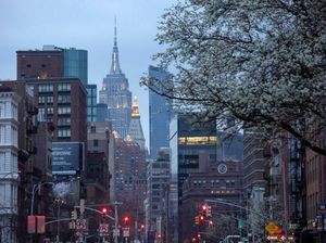 Trump: 2 Pekan ke Depan Akan Menyakitkan, Pasien Corona Terus Berdatangan