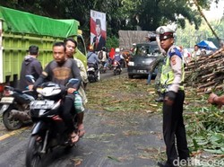 Sempat Tertimbun Bambu, Ruas Jalan Sukabumi-Bogor Kembali Lancar