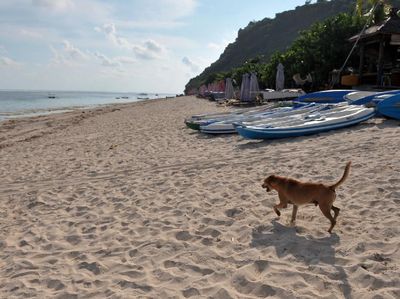 Imbas Corona, Objek Wisata di Bali Tutup Sementara