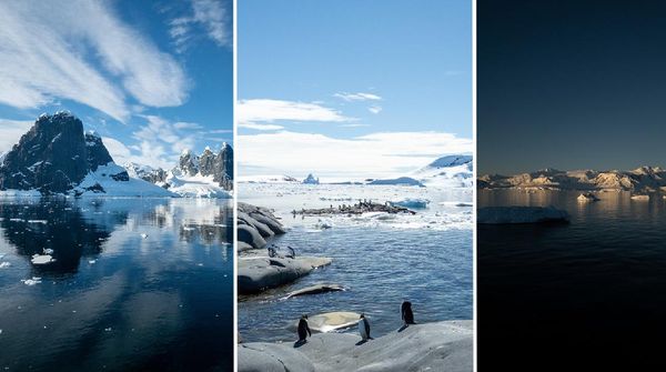 Bukti Perubahan Iklim di Antartika yang Ditangkap iPhone