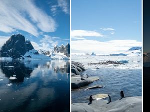 Bukti Perubahan Iklim di Antartika yang Ditangkap iPhone