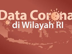 Ini Daftar 31 Daerah Zona Merah dan 102 Zona Hijau Corona di Indonesia