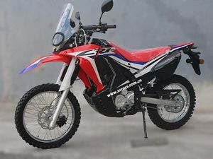 Penampakan Motor Murmer Kloningan CRF250 Rally