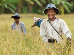 Tingkatkan Ekonomi Petani, Fokus Anggaran Kementan untuk Padat Karya