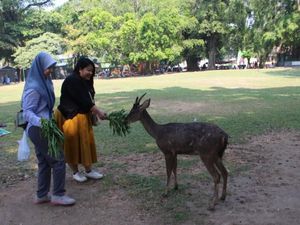 Begini Suasana Taman Balekambang Sebelum Tutup karena Corona