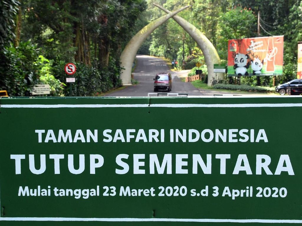 Taman Safari Bogor Resmi Ditutup Sementara Taman Safari Bogor Resmi Ditutup Sementara