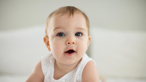 Adorable little baby boy, playing with toy, looking curiously at camera