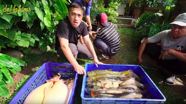 Ikan-ikan peliharaan Irfan Hakim yang mati massal