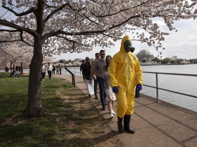 Potret Antusiasme Warga Washington Saksikan Sakura Mekar di Tengah Corona
