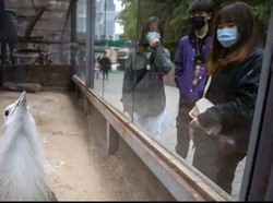 Warga China Mulai Banjiri Tempat Wisata