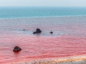 Begini, Nih Potret Pantai Semerah Darah Begini, Nih Potret Pantai Semerah Darah