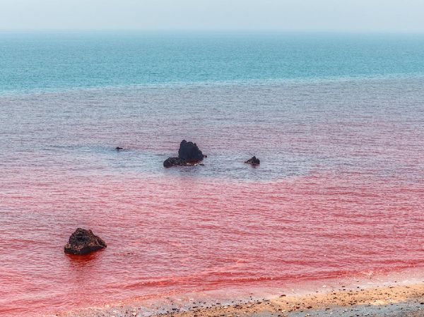 Begini, Nih Potret Pantai Semerah Darah