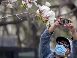 Bidik Turis Lokal, China Gratiskan Tempat Wisata