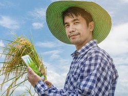 Pandemi Covid-19, Momentum Petani Pasarkan Komoditas Lewat Aplikasi