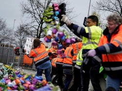 Kasihan, Jutaan Tangkai Bunga di Belanda Dimusnahkan Gegara Corona