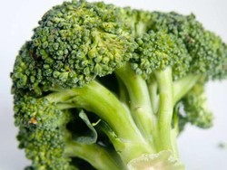 Benarkah Kita Bisa Tingkatkan Daya Tahan Tubuh untuk Cegah Infeksi COVID-19?