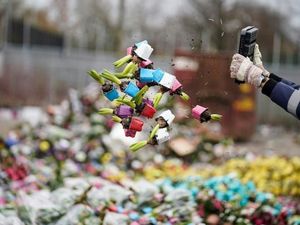 Foto: Industri Bunga di Belanda Sedang Berdarah-darah