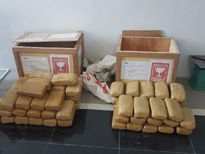 BNN Jabar Bekuk Seorang Kurir Narkoba di Cianjur, 60 Kg Ganja Disita BNN Jabar Bekuk Seorang Kurir Narkoba di Cianjur, 60 Kg Ganja Disita